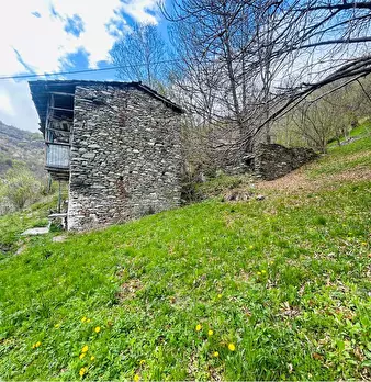 Foto annuncio 1