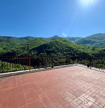 Foto annuncio 44