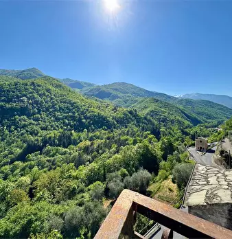 Foto annuncio 41