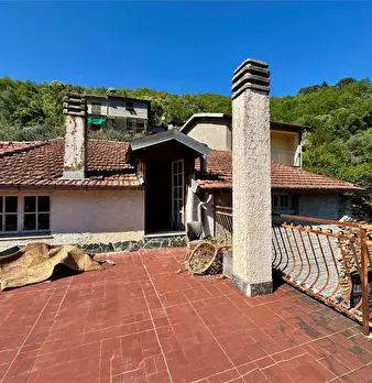 Foto annuncio 50