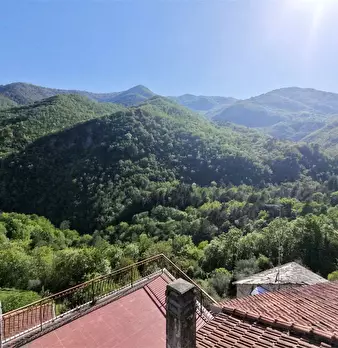 Foto annuncio 46