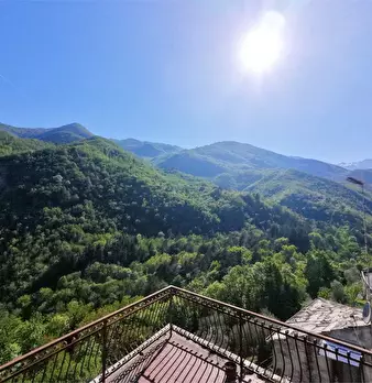 Foto annuncio 45