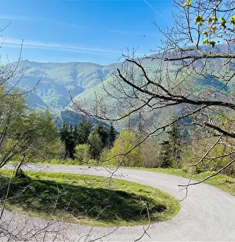Foto annuncio 1