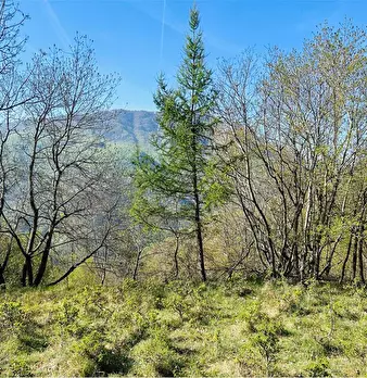 Foto annuncio 3