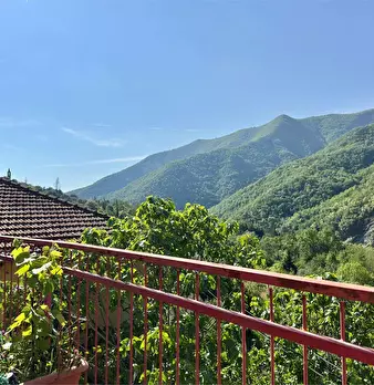 Foto annuncio 7