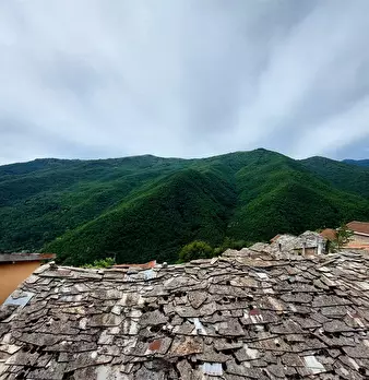 Foto annuncio 46
