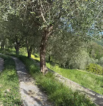 Foto annuncio 56
