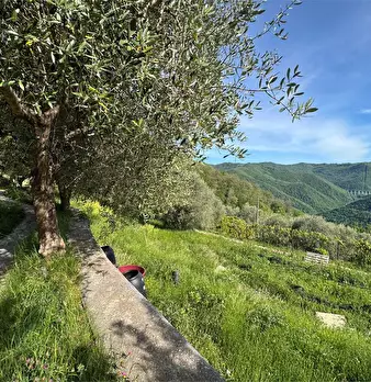 Foto annuncio 57