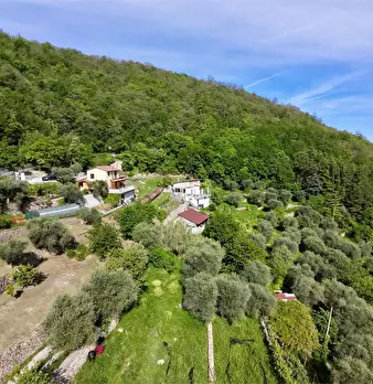 Foto annuncio 10