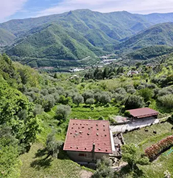 Foto annuncio 50