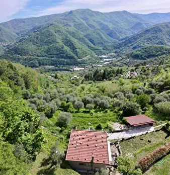 Foto annuncio 8