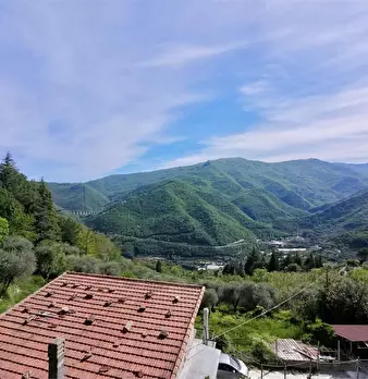 Foto annuncio 6