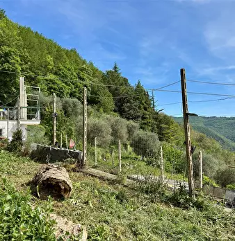 Foto annuncio 51