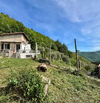 Foto annuncio 12