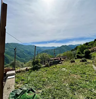 Foto annuncio 52