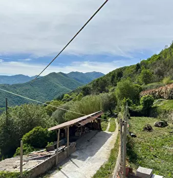 Foto annuncio 54