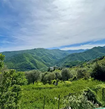 Foto annuncio 35