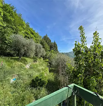 Foto annuncio 36