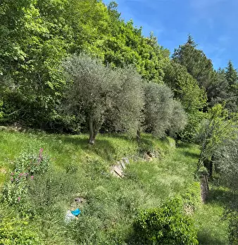 Foto annuncio 38