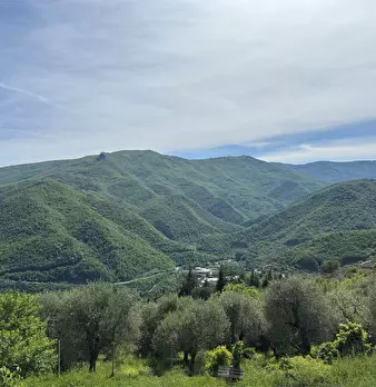Foto annuncio 37
