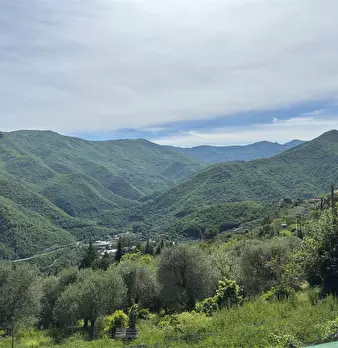 Foto annuncio 55