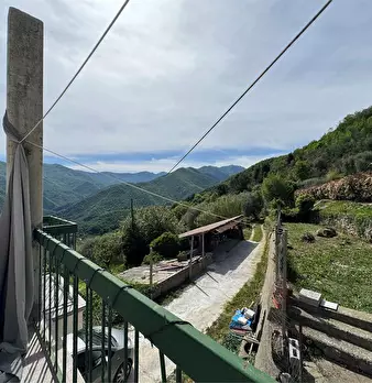 Foto annuncio 53