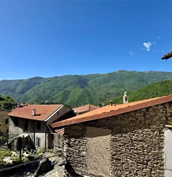 Foto annuncio 52