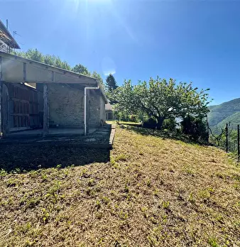 Foto annuncio 11