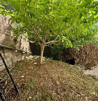 Foto annuncio 71
