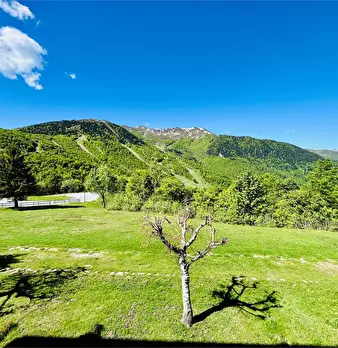 Foto annuncio 29