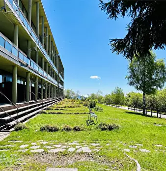 Foto annuncio 3