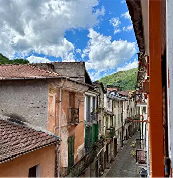 Foto annuncio 37