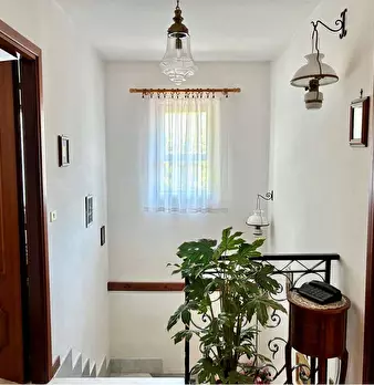 Foto annuncio 31