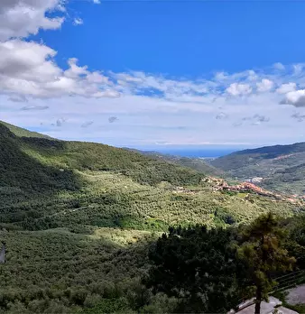 Foto annuncio 6