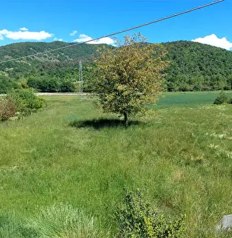 Foto annuncio 14
