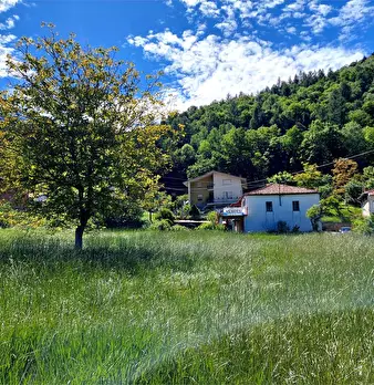 Foto annuncio 43