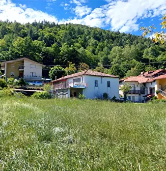 Foto annuncio 45