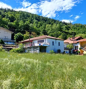 Foto annuncio 46