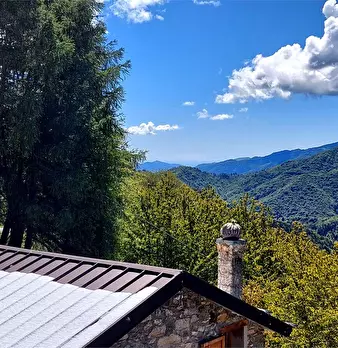 Foto annuncio 8