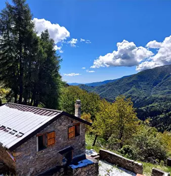 Foto annuncio 7
