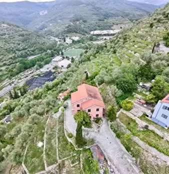 Foto annuncio 77