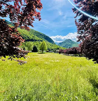 Foto annuncio 1