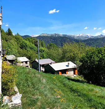 Foto annuncio 1