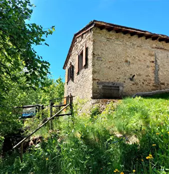Foto annuncio 6