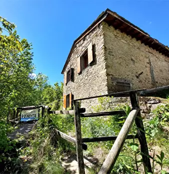 Foto annuncio 7