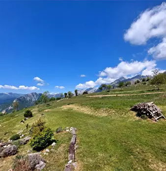 Foto annuncio 7