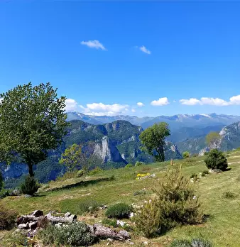Foto annuncio 38