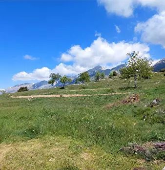 Foto annuncio 34