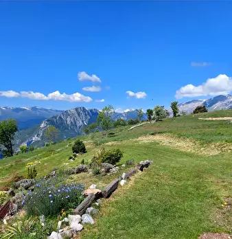 Foto annuncio 36