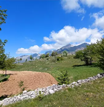 Foto annuncio 35